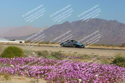 media/Jan-29-2023-PCA San Diego (Sun) [[aa0301ccc2]]/Yellow Group/Session 1 (Turn 15 Bloom)/